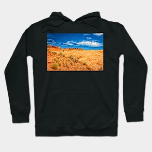 Arches National Park, Moab Utah Hoodie